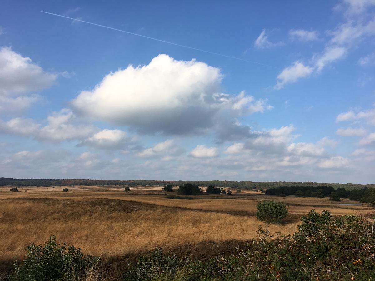 De Slaapfabriek Vakantiehuis En Trainingslocatie Teuge Eksteriør bilde